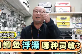 钓鲫鱼用什么漂灵敏？很多人都选错了，选浮漂要看这几点视频封面