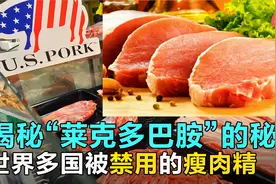 揭秘“莱克多巴胺”的秘密，“瘦肉精”不知不觉在蚕食你的健康视频封面