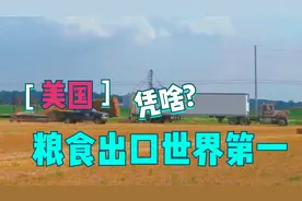 美国凭什么是全球粮食出口第一？看完他们的农业机械收割，我服了视频封面
