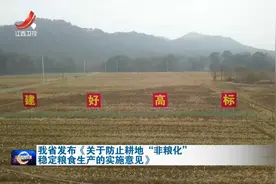 我省发布《关于防止耕地“非粮化” 稳定粮食生产的实施意见》视频封面