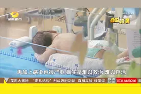 33周男婴患先天性肠道疾病，出生5日遗憾夭折，大爱父母捐献遗体视频封面