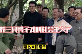 养三只鸭子才是社会主义？小平同志为此大发雷霆
