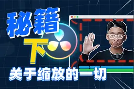 【秘籍】达芬奇缩放的奥秘！89%的人都不知道的缩放技巧！视频封面