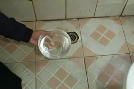 卫生间下水道里倒一碗，异味立马消失，好方法值得收藏视频封面