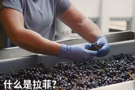 为什么1982年的拉菲那么贵？视频封面
