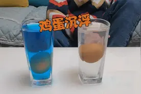 早早爱科学：在家用鸡蛋做实验，看看放到不同水里的变化？视频封面