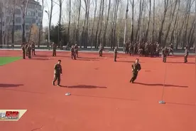 黑龙江：基层专武干部资格认证 提高履职能力视频封面