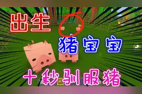 迷你世界-教你如何在十秒之内驯服猪，并且生下猪宝宝，超可爱哦