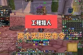 工程猎人两个实用宏 #巫妖王之怒  #猎人  #宏视频封面