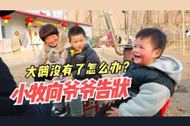 3岁宝宝向爷爷告状：我的大鹅没有了怎么办？爷爷哭笑不得视频封面