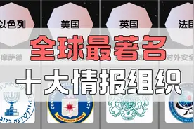全球最著名的十大情报组织，朝阳群众有姓名@DOU+小助手视频封面