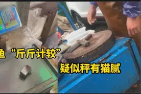 四斤半鱼宰杀后只剩两斤，消费者疑遇“黑心秤”？记者体验寻真相