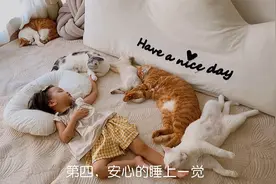 萌娃铲屎官4招让原住猫咪接受新成员视频封面