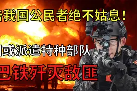 我国公民在巴铁遇袭？我国或派部队助巴剿匪，恐袭同胞者虽远必诛视频封面