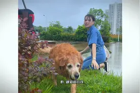 狗狗误会了妈妈～视频封面