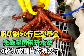 太残忍了，大厨切割50斤大章鱼，先砍腿再用开水烫，50秒切成薄片视频封面