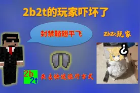我的世界2B2T服务器：2b2t的玩家被吓坏了！服主封禁了鞘翅平飞！