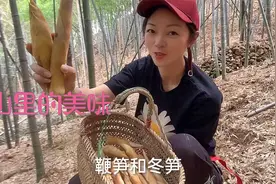 今年第一次挖冬笋，竟有意想不到的收获，10月这俩种笋一起长？视频封面
