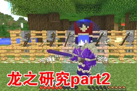 我的世界龙之研究part2：双足飞龙套装功能与配置