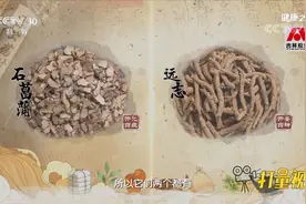 远志的功效为安神开窍，与石菖蒲一起搭配主治失眠健忘丨健康之路
