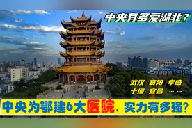 中央有多爱湖北，在鄂建6大央企总部医院，驻武汉十堰襄阳宜昌等视频封面