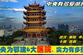 中央有多爱湖北，在鄂建6大央企总部医院，驻武汉十堰襄阳宜昌等视频封面