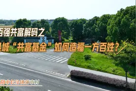 县城“共富基金”如何造福一方百姓？视频封面