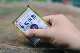 养花出现蚂蚁怎么办？园艺师教你，使用杀蚁饵剂，什么蚂蚁都能用视频封面
