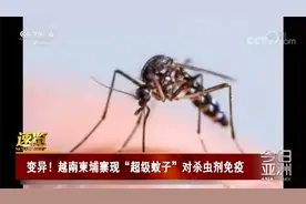 越南柬埔寨现“超级蚊子” 对杀虫剂免疫