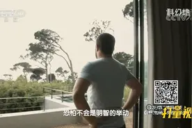 体型与健康等息息相关，如轻易改变身体大小并没有益处|科幻地带视频封面