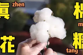 真棉花？一朵可以吃的棉花，做法简单，一看就会视频封面