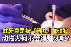 蛀牙真的是被“牙虫”吃掉的吗？为何从没见过猫狗长蛀牙呢？