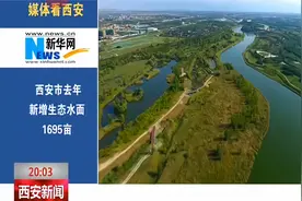 媒体看西安：新华网 央视新闻客户端多角度关注我市视频封面