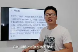 猪倒在地上划水，这是链球菌脑炎还是伪狂犬！峰哥教你接招辨别！视频封面