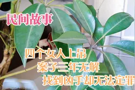民间故事：四个女人上吊，案子三年无解，找到凶手却无法定罪视频封面