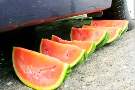 好奇心实验7：用汽车压脆脆的和软软的物体，看完很解压～