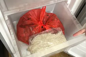 把大米放进冰箱里冻一冻，真是厉害了，解决了好多人的烦恼，学学视频封面