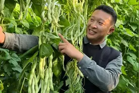 男子放弃5万月薪回家种菜吸粉百万，他把菜“种”到了全国各地视频封面