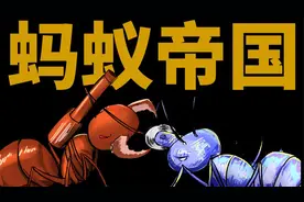 蚂蚁帝国的阶级分工