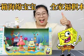 开箱海绵宝宝全家福正版积木！打造比奇堡海滩，也太好玩儿了视频封面