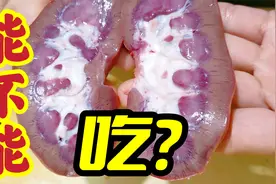 腰筋，也就是腰臊，能不能食用？做“爆炒腰筋”验证一下！视频封面
