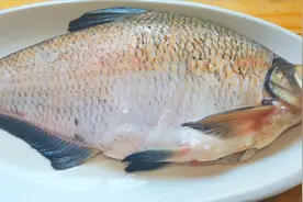 大厨教你红烧鳊鱼正确做法，鱼肉鲜嫩入味不腥，出锅连汤汁都不剩视频封面