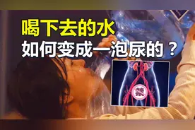 喝下去的水，是如何变成一泡尿的？6分钟了解水的神奇之旅