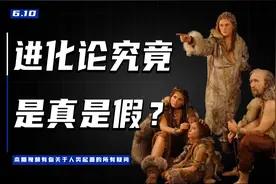 进化论是假的？没有进化的中间形态？我求求你们做个人吧！视频封面