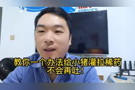 教你一个办法给小猪灌服拉稀药再也不会呕吐！视频封面