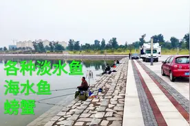 山东潍坊白浪河，咸淡混合水域，还有大闸蟹