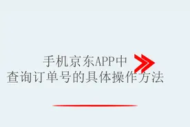 手机京东APP中查询订单号的具体操作方法视频封面