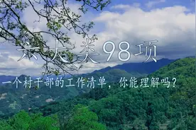农村村干部的工作清单，六大类98项！你能理解吗？视频封面