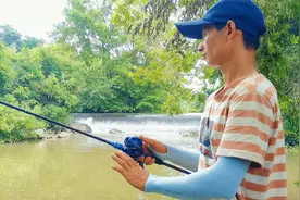 新手路亚钓鳜鱼找结构和经济实惠又有效的一些实操钓法分享给大家视频封面
