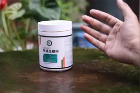 养花生根太慢怎么办？园艺师教你，用快速生根粉，促进植物生根视频封面